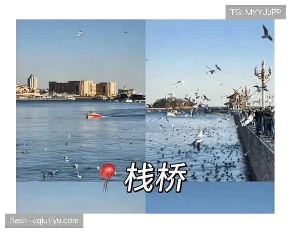 不可抗力中断比赛后，规则如何决定是否重赛或判负？